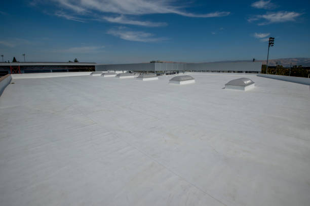 Best Chimney Flashing Repair  in Shark River Hills, NJ